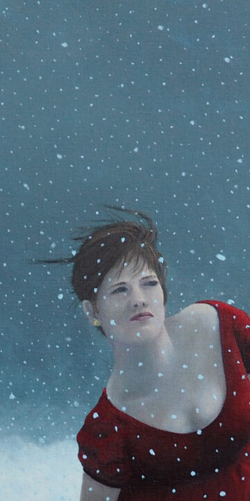 400-1963,-Noodlanding-op-IJsland,detail-4